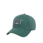 Gorra Pigment Dyed unisex color verde